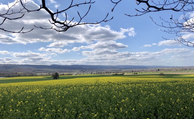 Blick Auf Den Deister1