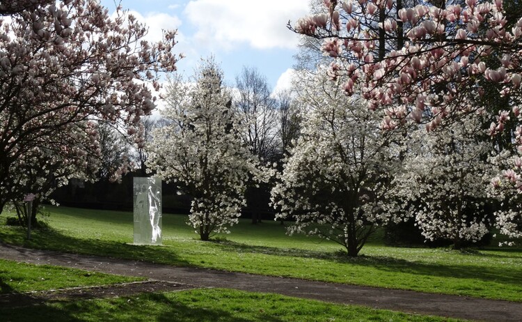 Fruehling Bm Kurpark