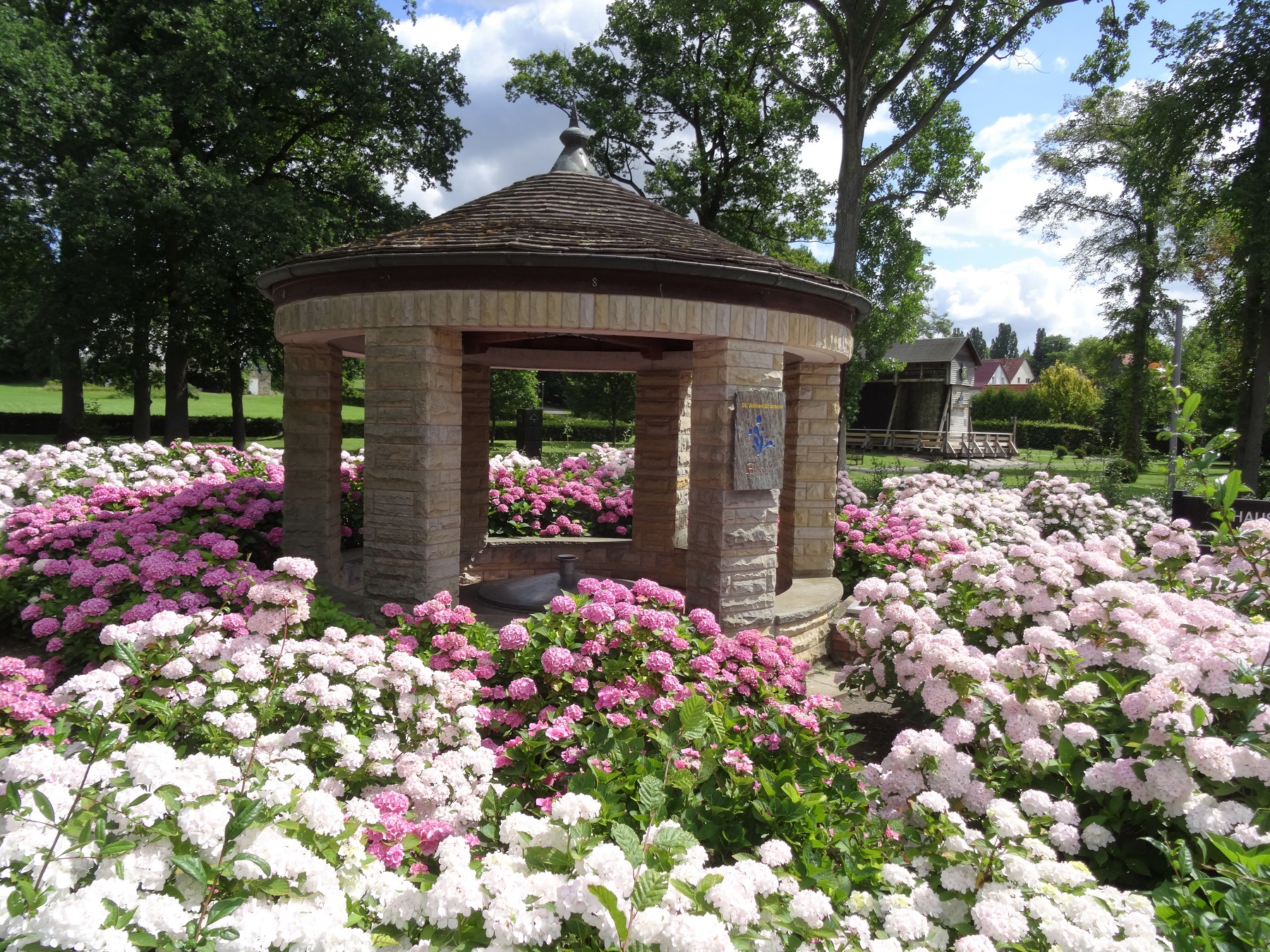 Kurpark Bad Münder Sommer